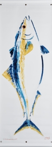 Banner 25<br>Yellowtail<br>By Elizabeth Brown